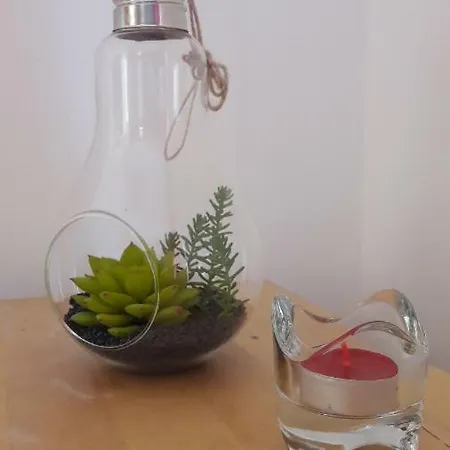 Ritta's House 公寓 阿尔布费拉